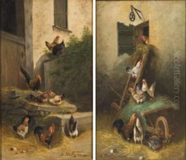 Poules Dans Une Basse-cour - view 1
