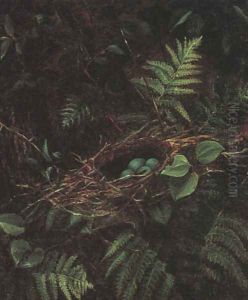 Bird's Nest and Ferns, 1863 by Fidelia Bridges