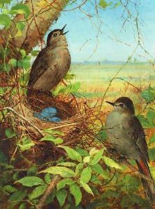 Thurshes Nest by Fidelia Bridges