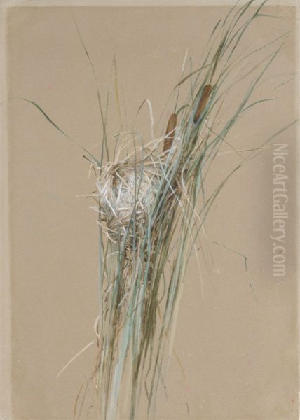 Bird's Nest in Cattails - view 1