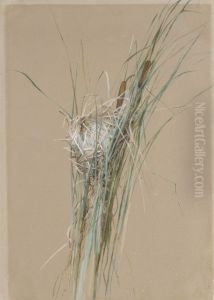 Bird's Nest in Cattails by Fidelia Bridges