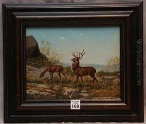 Doe And A Stag by William Baptiste Baird