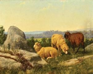 Sheep On A Rocky Hillside by William Baptiste Baird