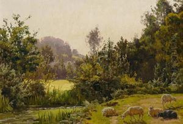 Landschaft Mit Schafen - view 1