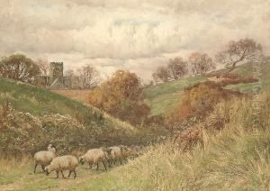 Sheep Near Brighton