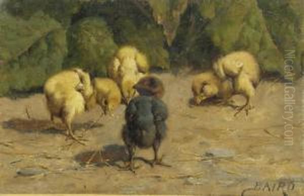 Little Chicks - view 1