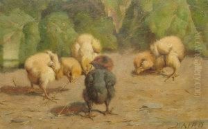 Chicks