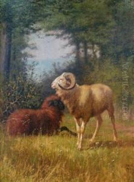 Rams In A Wooded Landscape - view 1