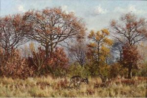 La Foret De Fontainebleau