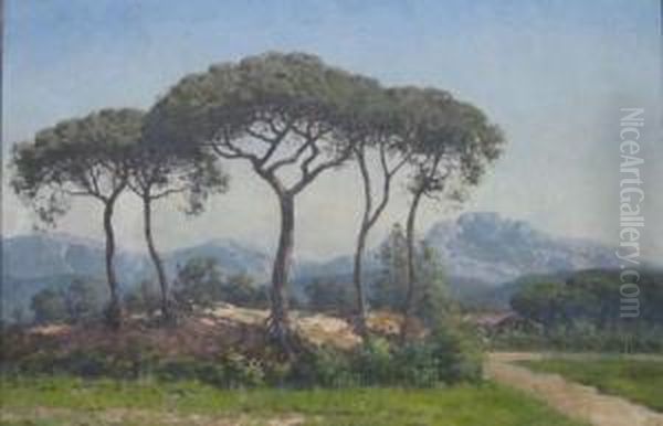 Paysage De Provence - view 1