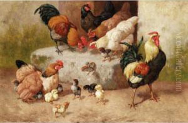 Spring Chickens - view 1