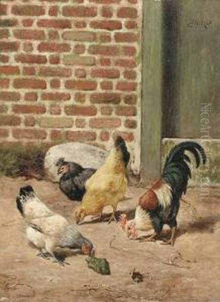 Chickens In A Farmyard - view 1