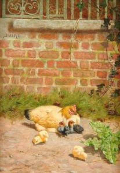 Chickenwith Four Chicks - view 1