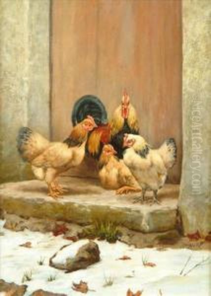 Fourchickens In Snow - view 1