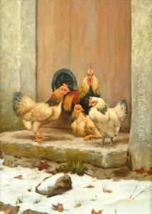 Fourchickens In Snow Fourchickens In Snow