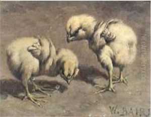 Les Poussins Les Poussins