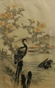 Two Cormorants