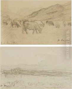 Vacas by Dionis Verdaguer Baixeras