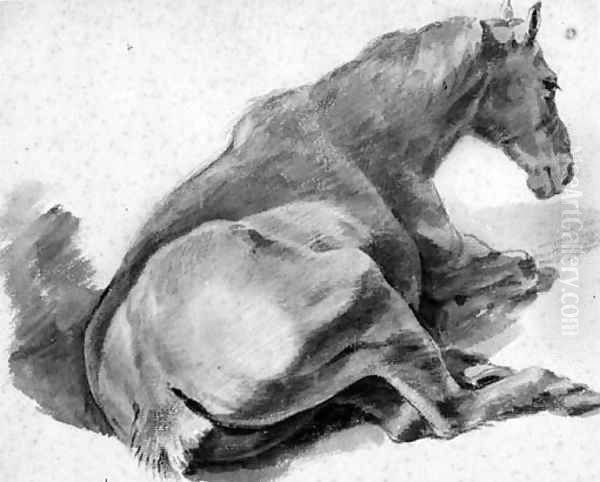 A Horse lying down, seen from the back - view 1