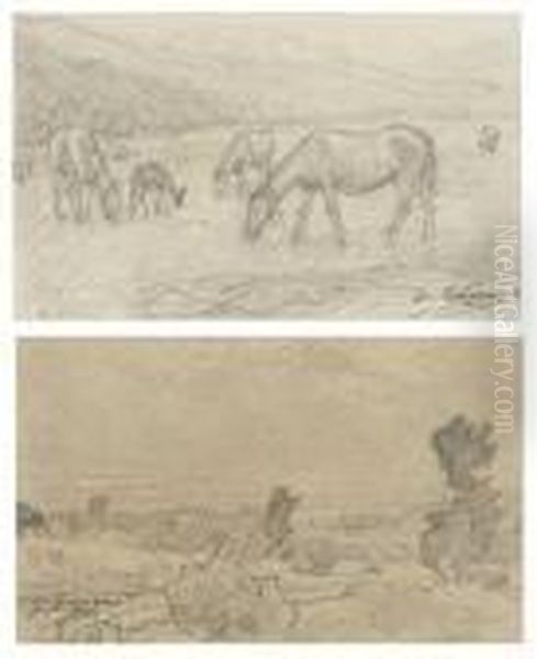 "caballos" Y "paisaje" - view 1