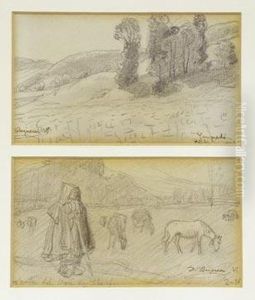 paisaje De Camprodon