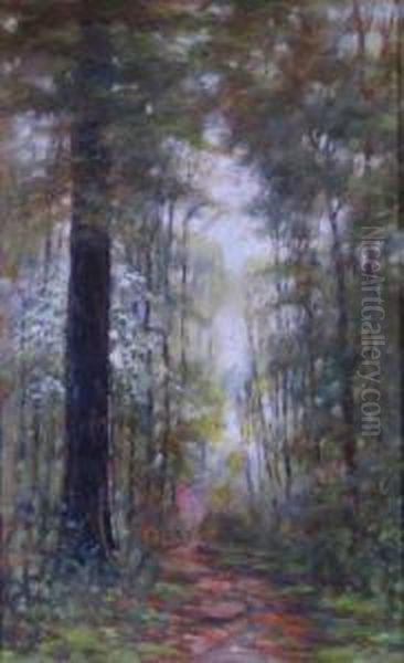 Tall Trees - view 1