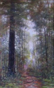 Tall Trees by George Herbert Baker
