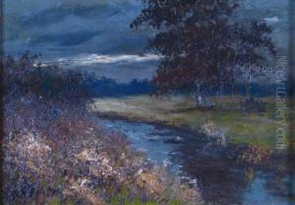 Evening Autumn Landscape With Trees Under Stormy Sky - view 1