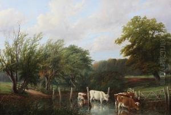 Cattle Watering At A Pond - view 1