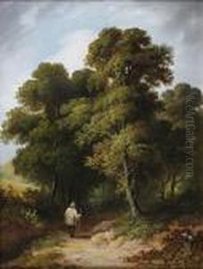 Traveller On A Country Lane