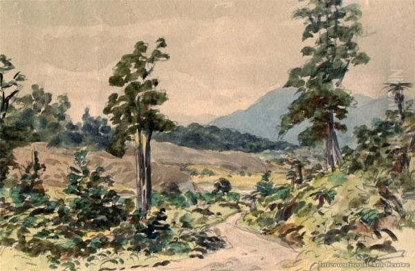 Buller, Near Nelson - view 1