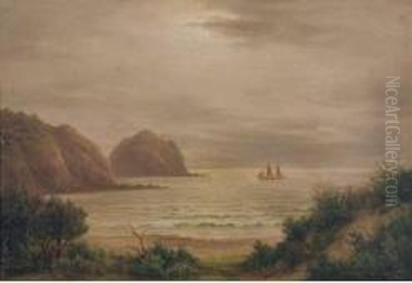 Piha Bay, Auckland - view 1