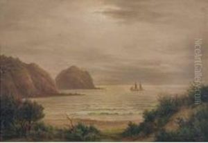 Piha Bay, Auckland by William George Baker