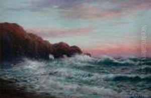 Cargills Cliffs, Dunedin by William George Baker