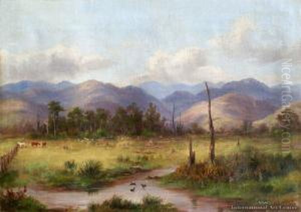 Near Matarawa, Greytown - view 1