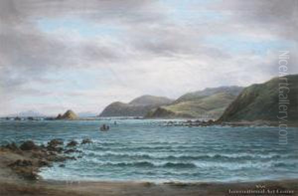 Near Island Bay - view 1