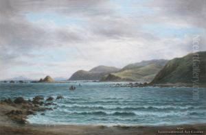 Near Island Bay