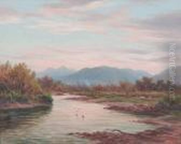 Near Greytown - view 1