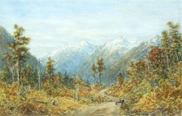 Otira Valley - view 1