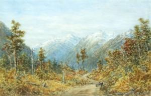 Otira Valley