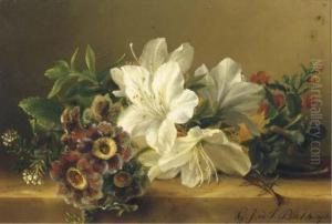 Rhodondendrons And Primulas On A Ledge