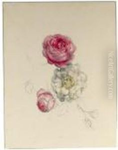 A Study Of White And Pink Roses by Geraldine Jacoba Van De Sande Bakhuyzen