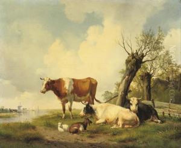 Cattle On The Waterfront - view 1