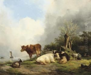 Cattle On A Riverbank Cattle On A Riverbank