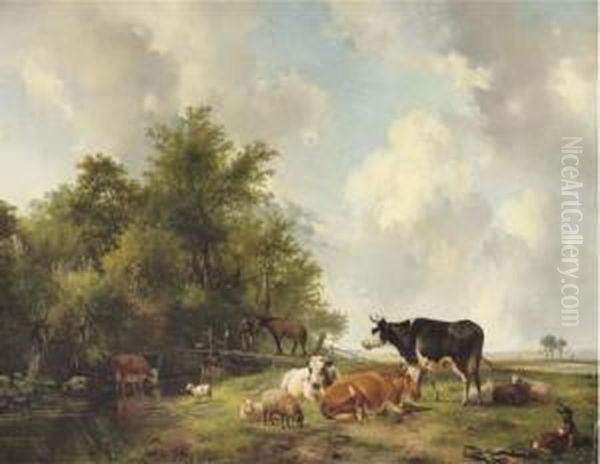 Cattle On The Edge Of A Forest In An Extensive Sunlit Landscape - view 1