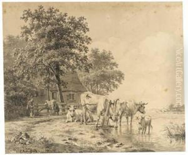 Cattle Drinking From A Ditch, Farmers Milking A Cow By A Farm - view 1