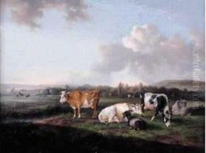 Vaches Et Chiens Au Paturage