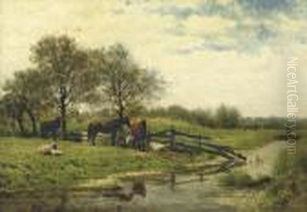 A Riverside Meadow - view 1