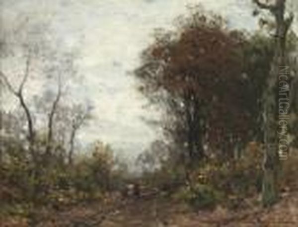 A Forest Path In Autumn - view 1