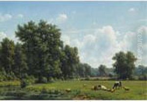 Cattle In A Summer Landscape